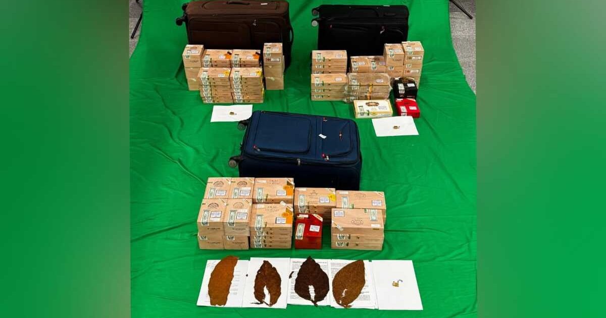沙田新城市商業大廈兩工人高空工作被困吊船 消防高空拯救隊出動救回
