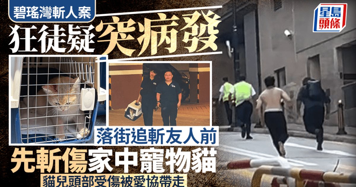 碧瑤灣男子持刀傷人被捕 保安外傭受傷送院