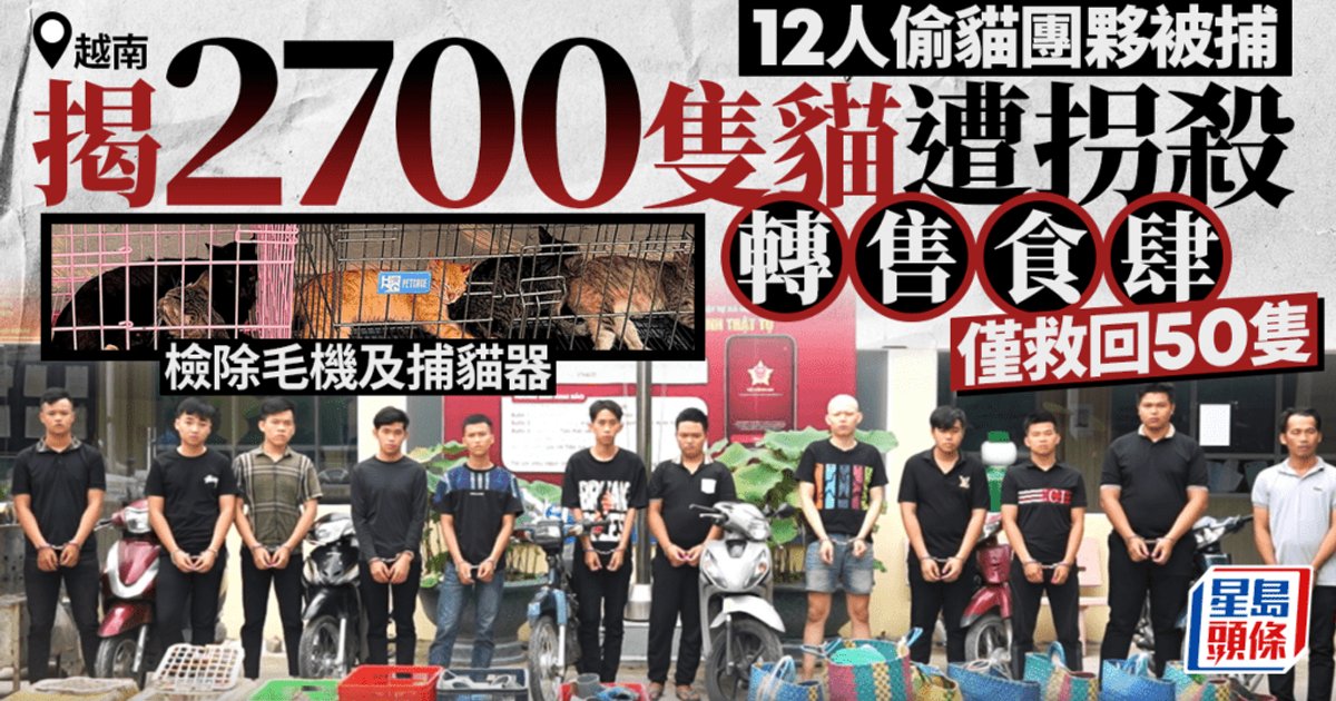 Vietnam Police Bust Cat Theft Ring of 12