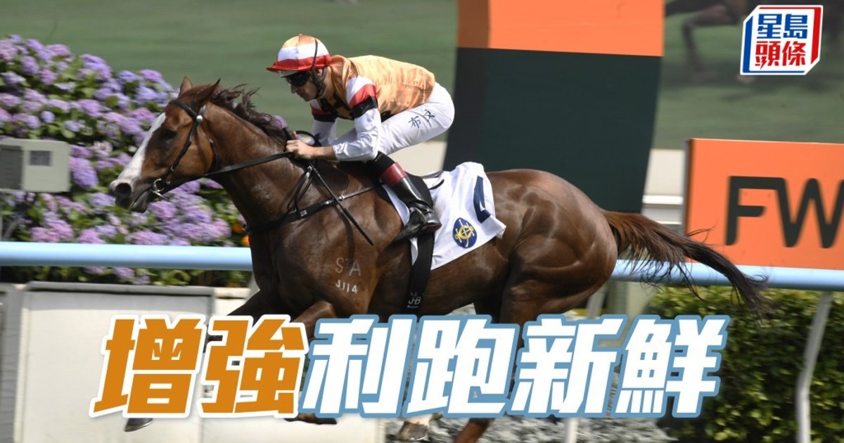Horse Racing Tips: Three Hong Kong Contenders Set for Sunday Glory at Sha Tin