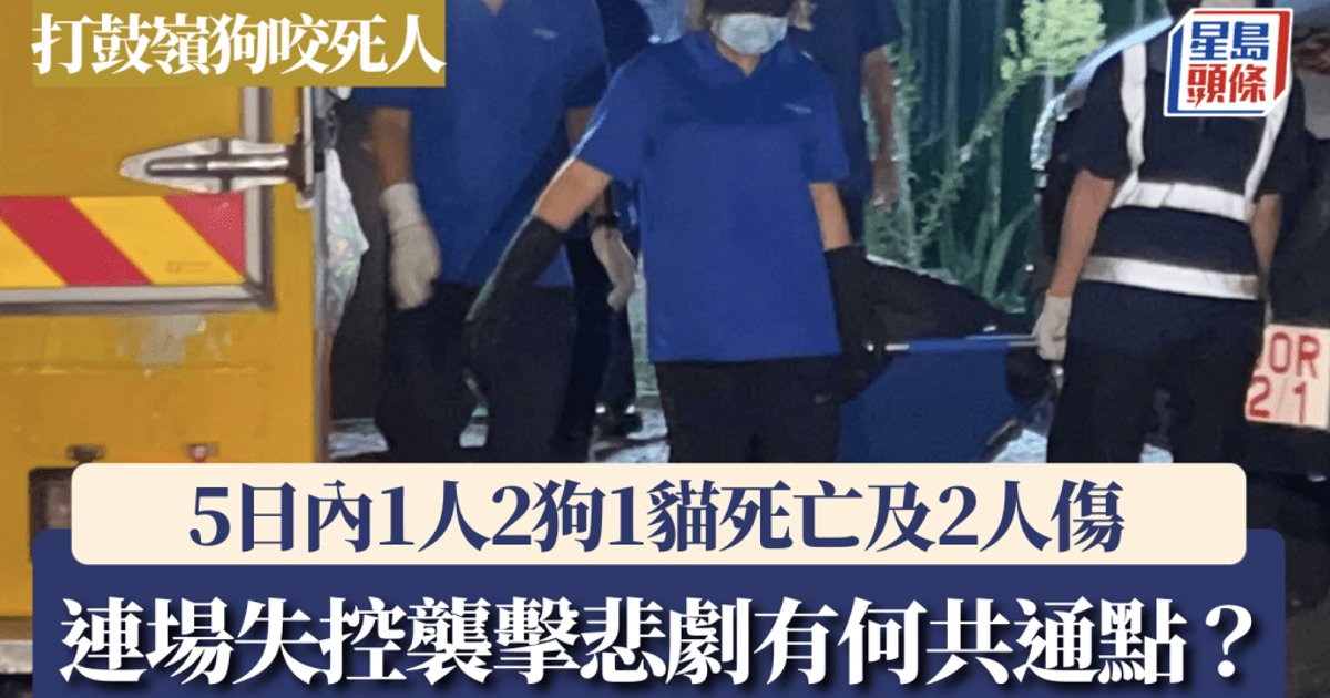打鼓岭狗咬死人｜5日内连爆血案　共酿1人2狗1猫死亡及2人伤