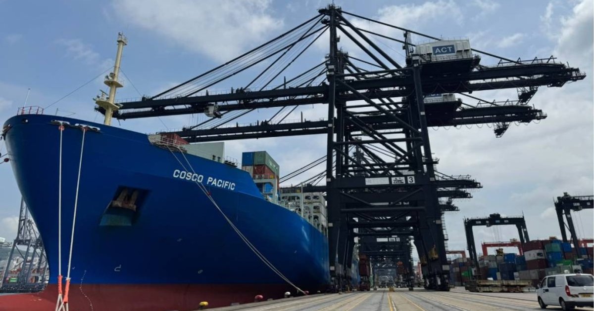 COSCO Shipping Ports Deploys 34 Remote-Operated Gantry Cranes at Terminal 8, Handling 70% of Yard Operations