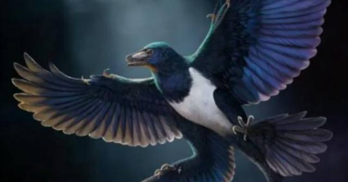 Chinese Team Resolves Flight Origin Debate with New Dinosaur Fossil Evidence