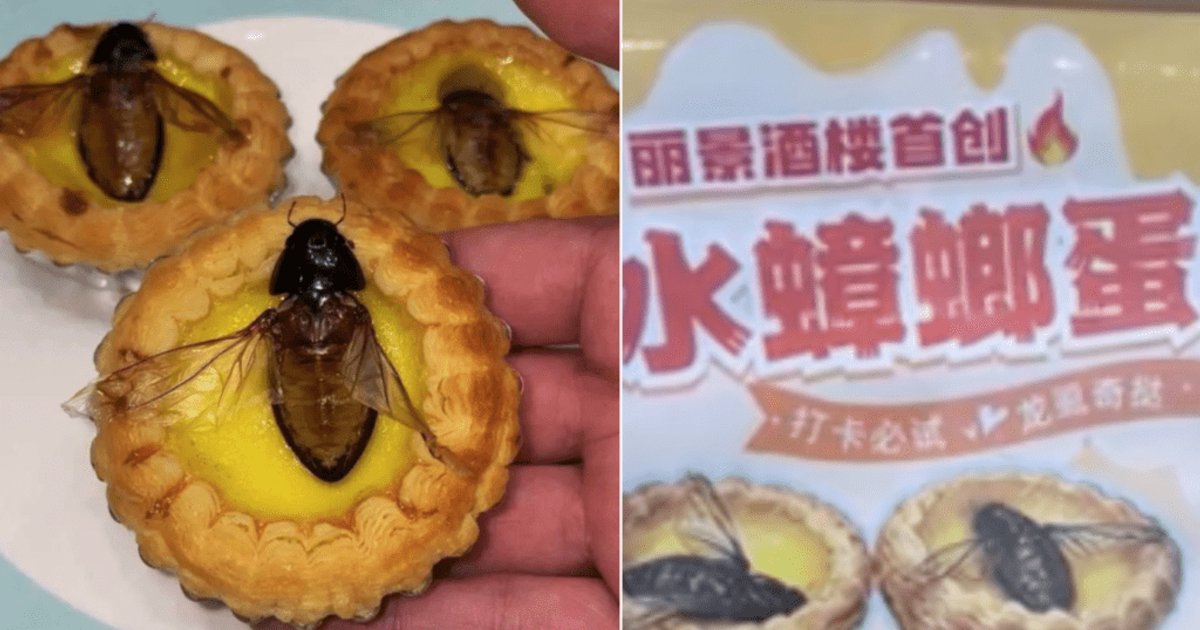 水蟑螂蛋挞掀热潮 佛山餐厅暗黑料理吸引港穗游客专程品尝