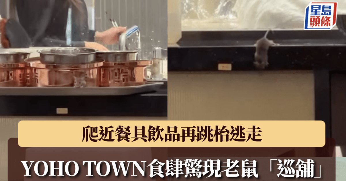 Rat Caught on Camera 'Patrolling' at Yuen Long YOHO TOWN Restaurant