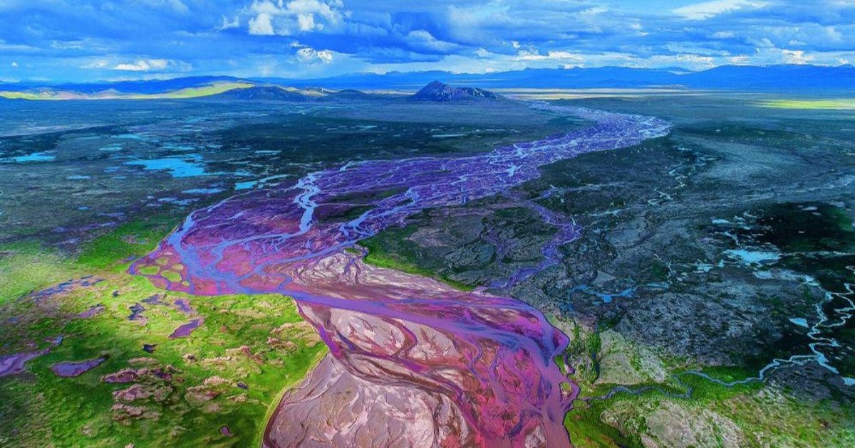 Sanjiangyuan foundation chief urges wider ecological participation