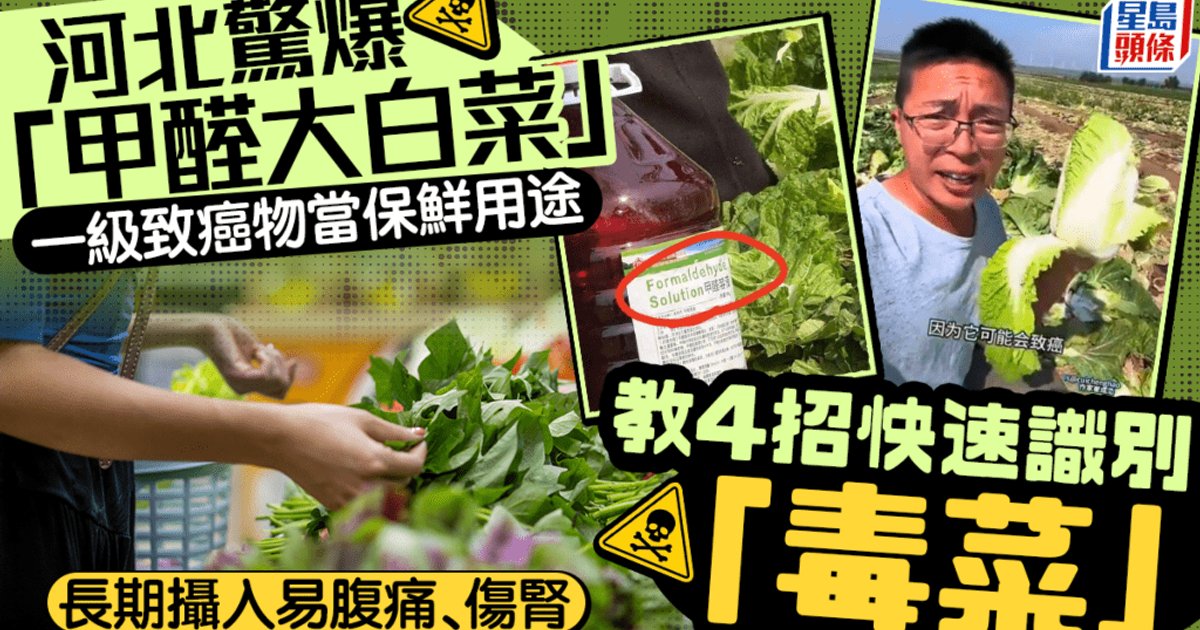 國務院食安辦等指導調查「甲醛白菜」 追查流向