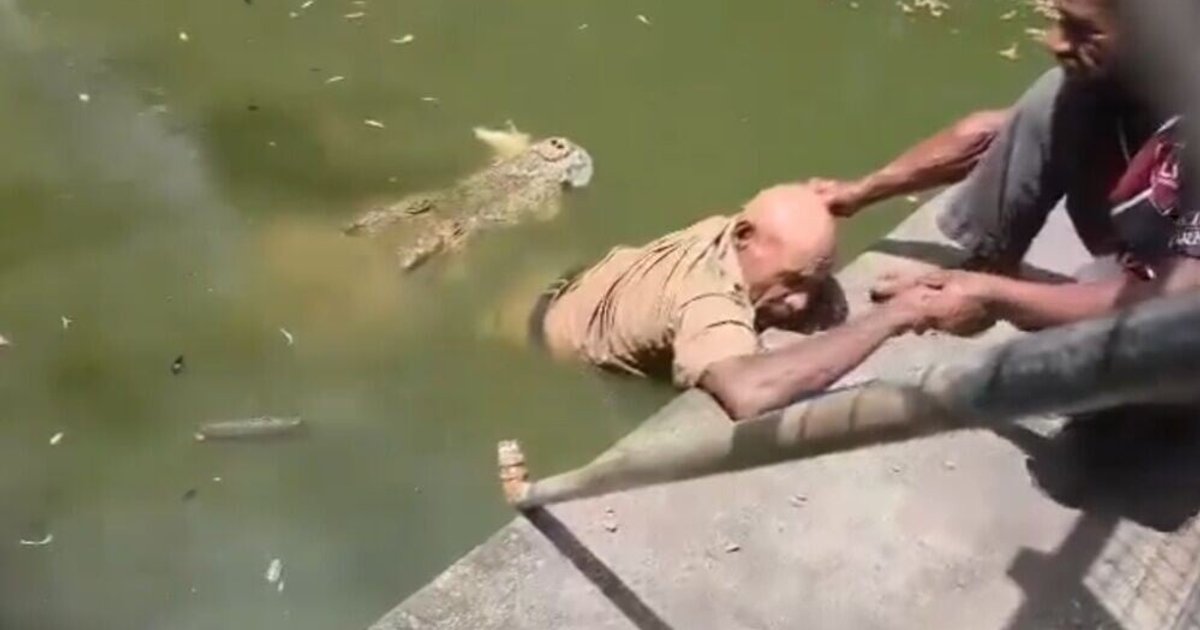 巴布亞新幾內亞鱷魚咬死飼養員 被困水中逾句鐘求援稱「我無做錯事」