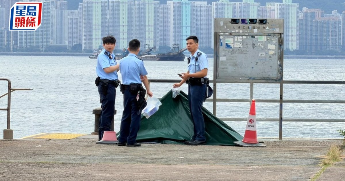大埔海濱驚現男子浮屍 救援人員到場證實不治