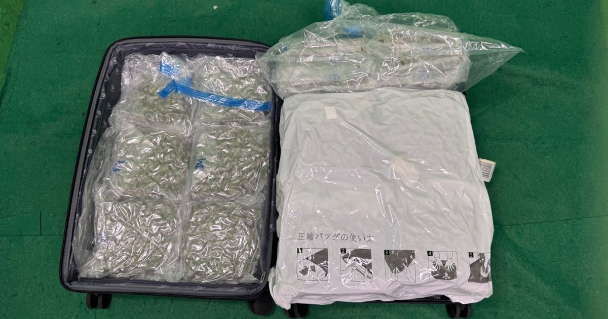 British Teen Held in Hong Kong Over Cannabis Haul