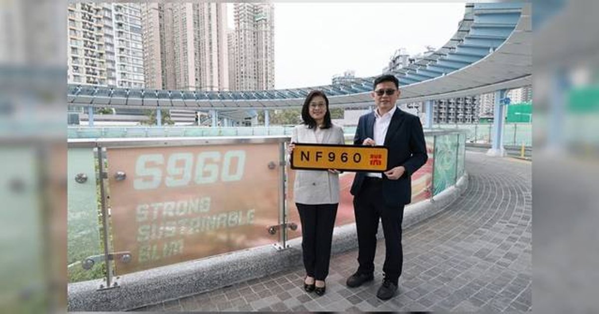 全球首創S960超高強鋼行人天橋落戶北都 龍躍頭天橋獲編號NF960