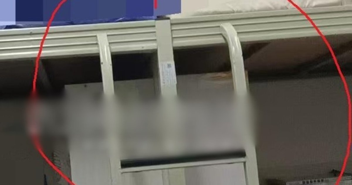 Leshan Normal University Students Report Bed Ladder Hazards After Multiple Injuries
