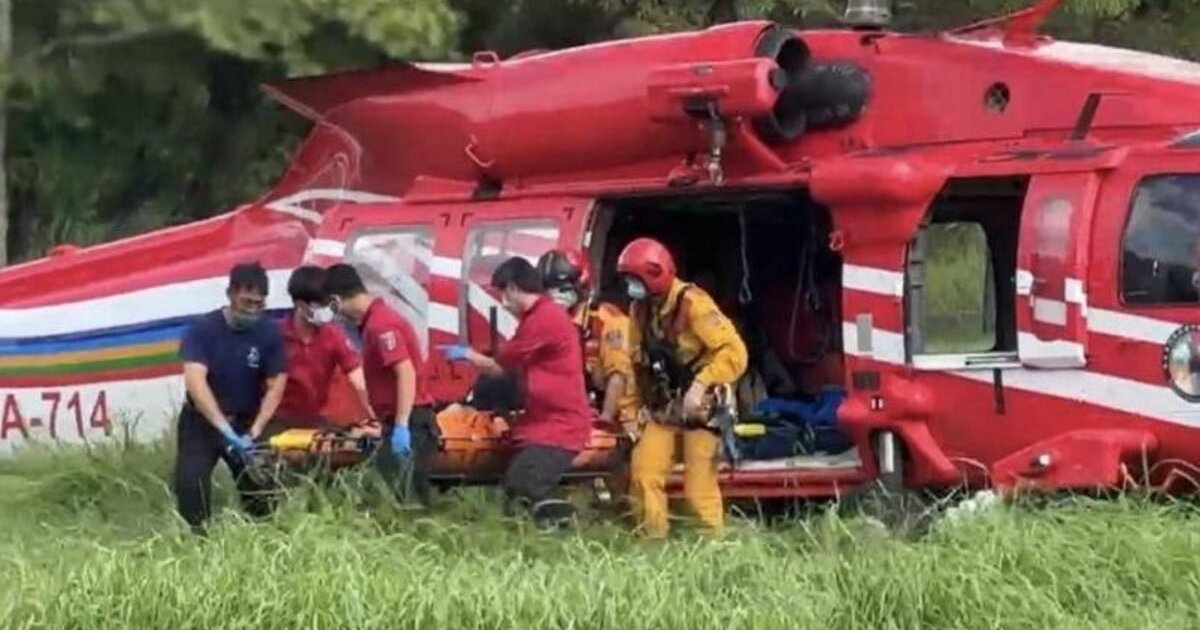 垦丁公园虎头蜂袭击致两死一伤 幸存女子需洗肾治疗