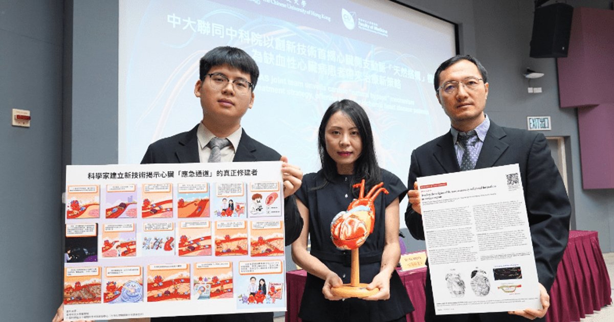 CUHK Reveals Mechanism of Natural Bypass Artery Formation in Damaged Hearts