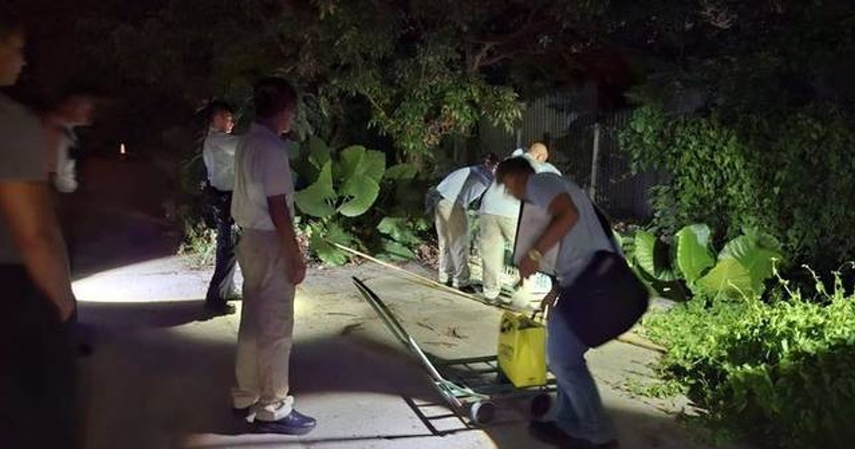 渔护署联同警方新田捕捉一只植有芯片惟无人看管狗只
