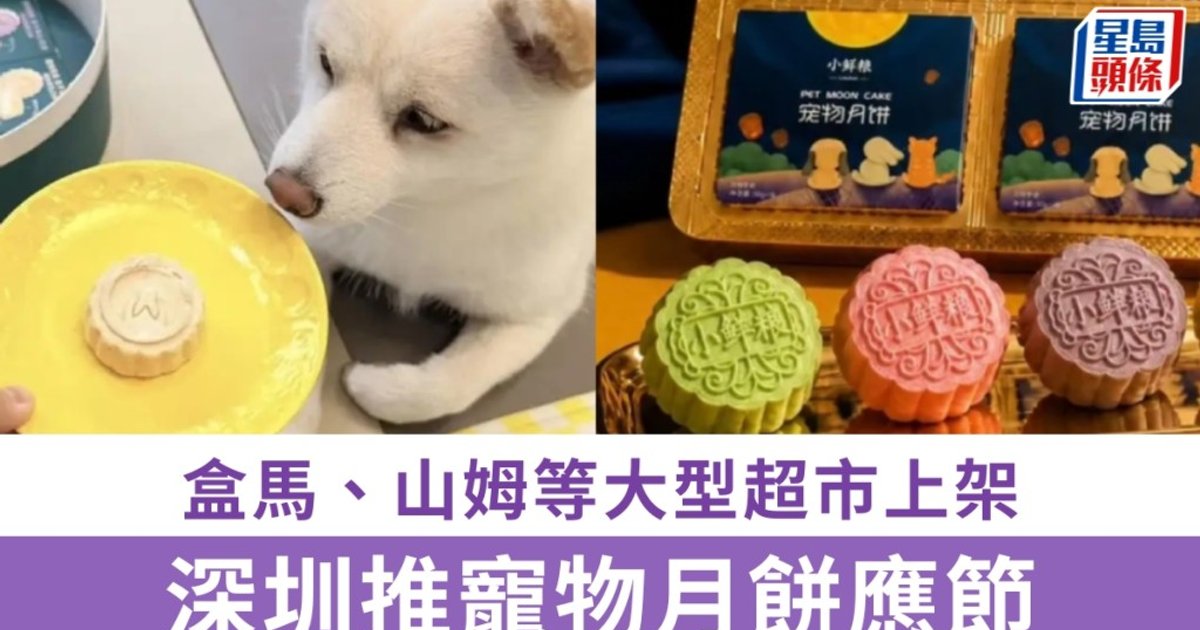 中秋節｜深圳創新月餅應市 低糖藥食同源與寵物專享成焦點