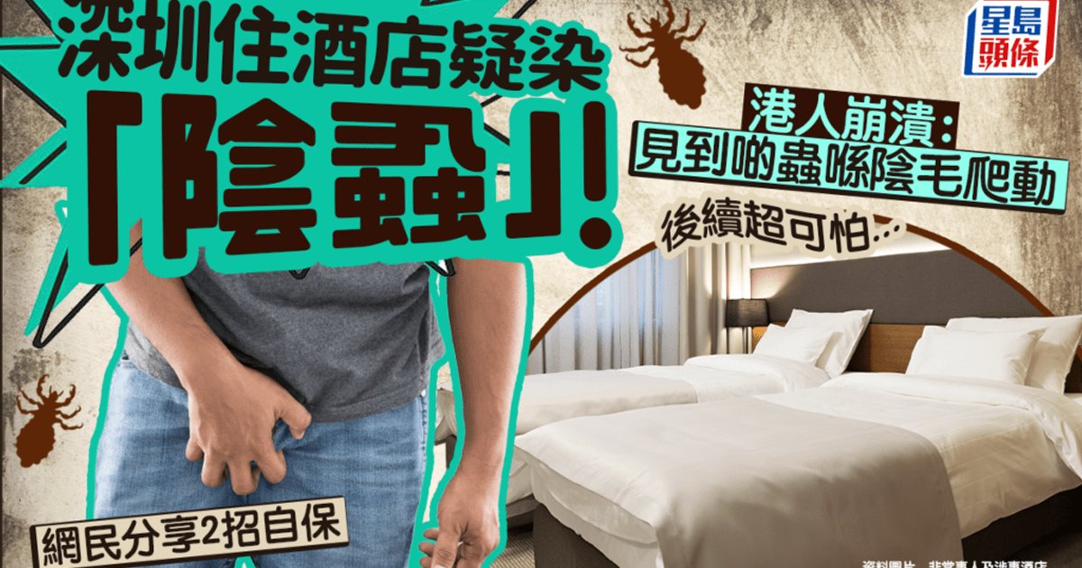 港爸深圳住酒店疑染陰蝨!下體持續痕癢崩潰見蟲體爬動
