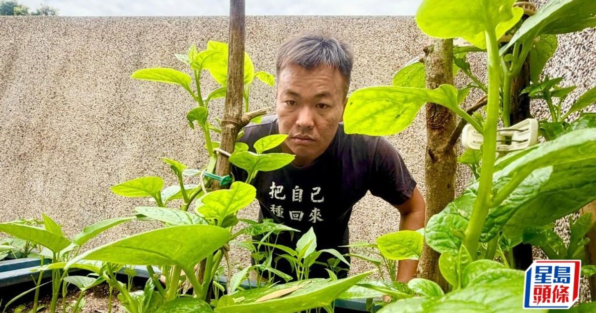 刘海龙倡社区种植 让都市园圃连接邻里