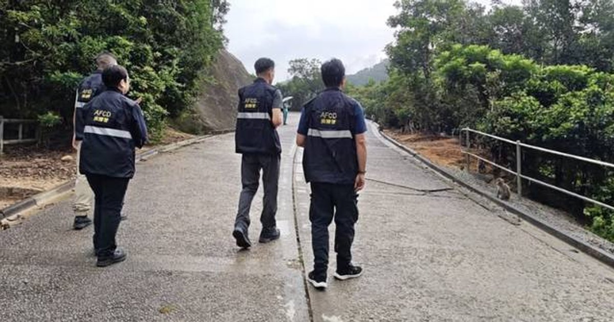 AFCD Issues Eight Fixed Penalties in August Crackdown on Illegal Wildlife Feeding