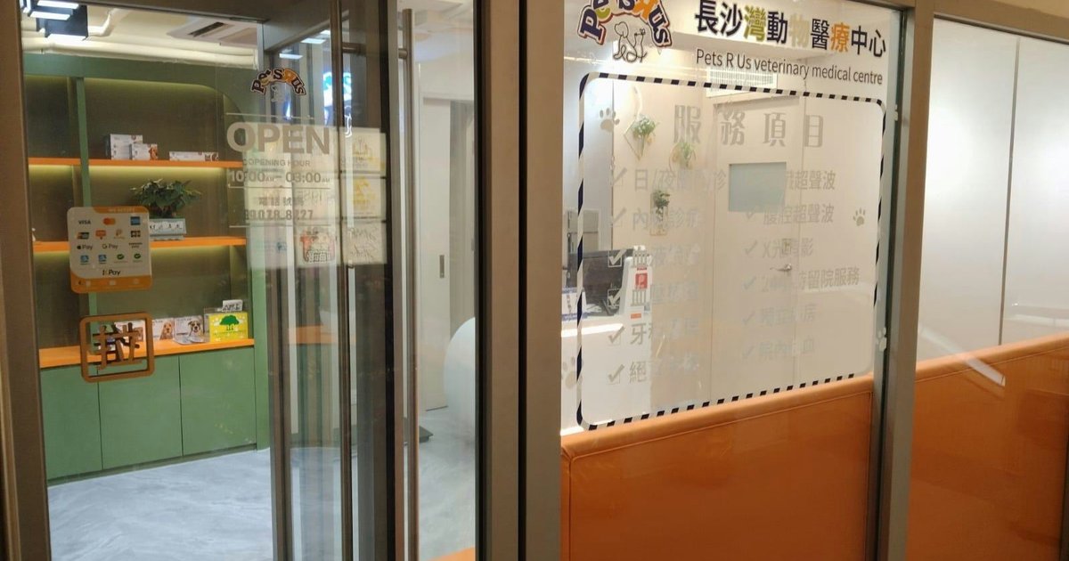 Hong Kong Teen Arrested After Cat Dies at Clinic