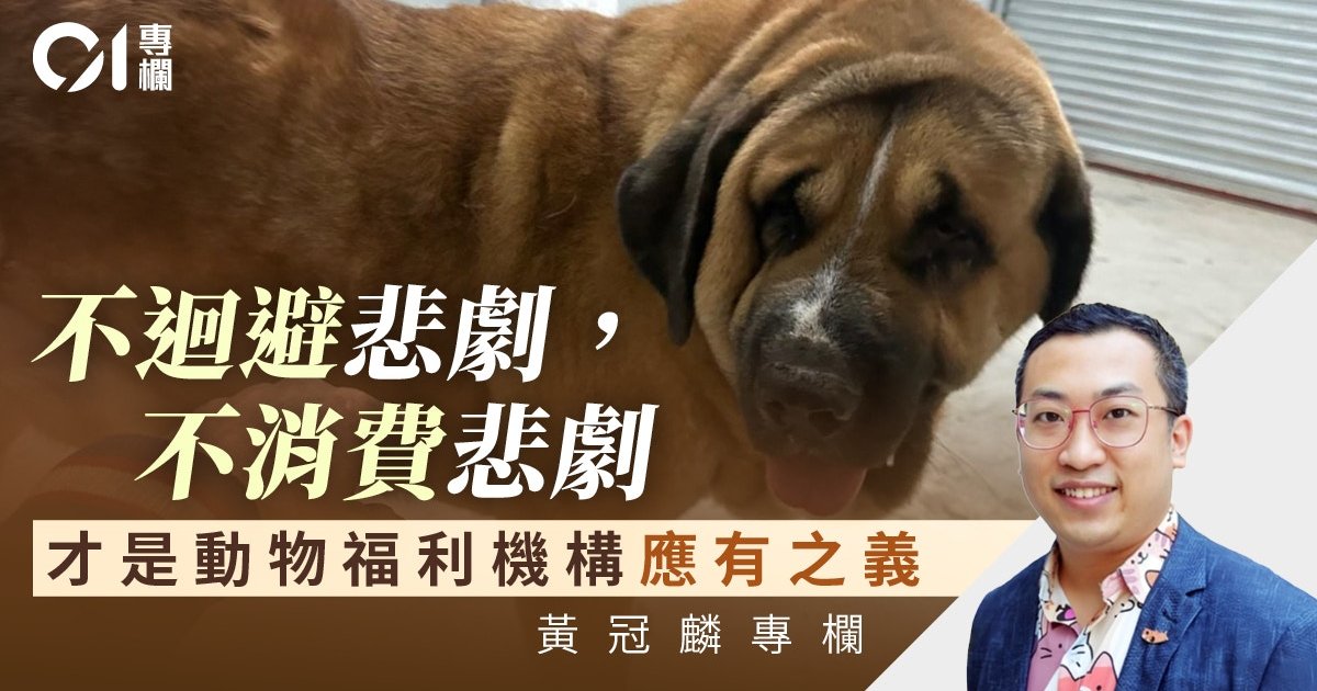 元朗狗咬狗悲劇 狗主被控兩罪准保釋 動保機構回應惹議