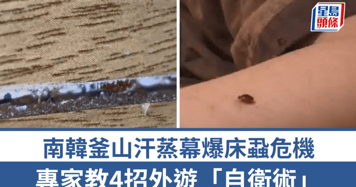 Busan Sauna Outbreak: Expert Tips to Protect Luggage from Bed Bugs