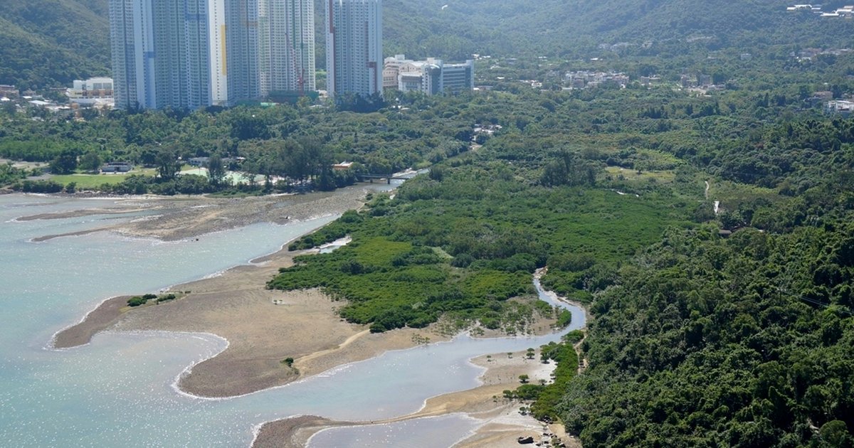 绿色力量|东涌河活化示范:如何以自然方法抵御气候危机