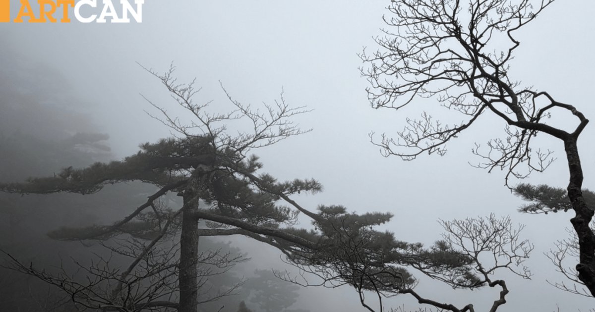 陳祖泳黃山遊記:雲海之上 水墨之間的親子之旅