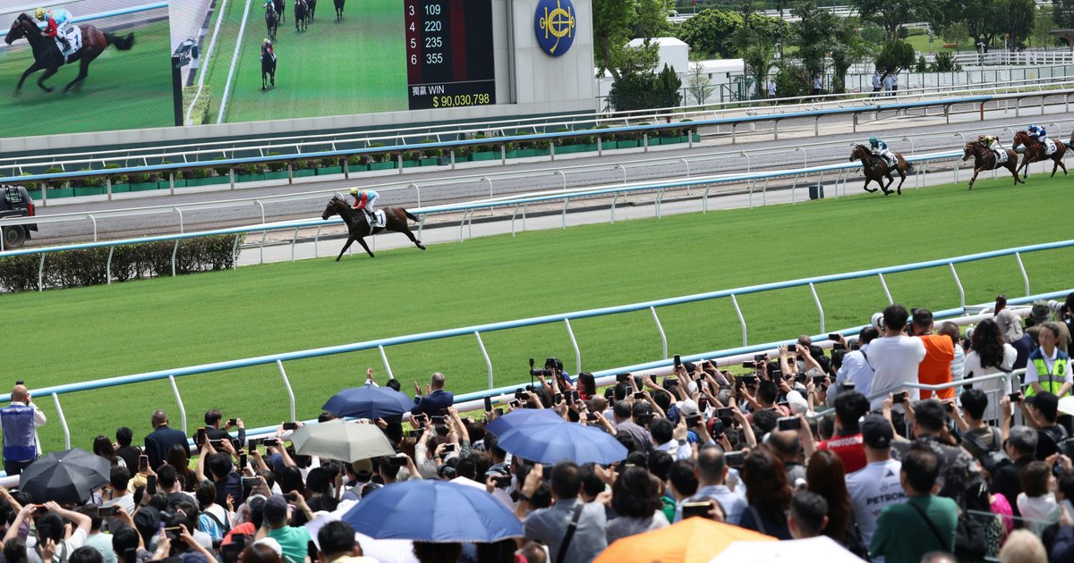 「嘉应高升」国际评135分 成历来最高分短途马
