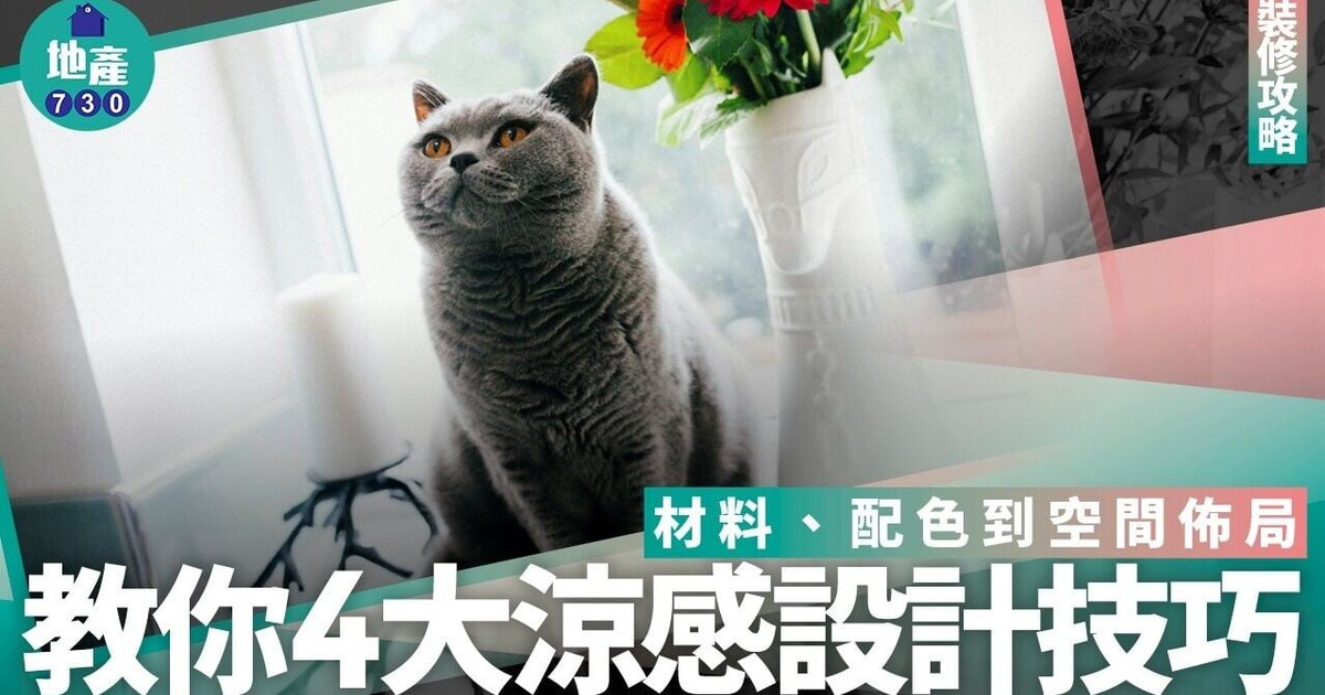 Cool Home Design: 4 Essential Tips for Beating Hong Kong's Summer Heat