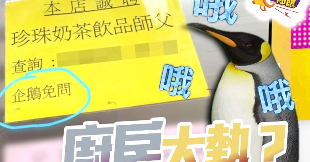 饮品师傅招聘广告“企鹅免问”引发网民热议职场术语