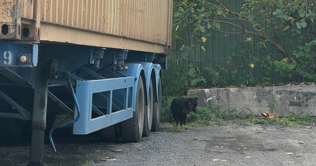 李家超：國家穩步擴大金融高水平開放　為全球投資者提供廣闊機遇