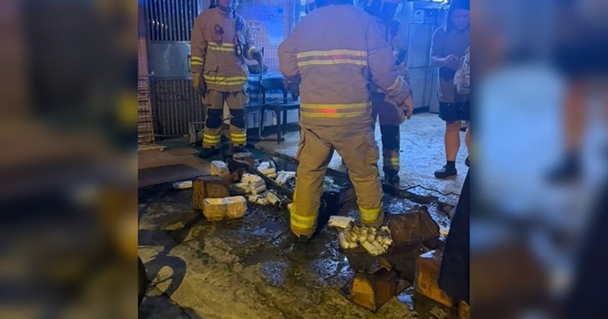 Electric Scooter Battery Short Circuit Sparks Fire at Kam Tin Restaurant