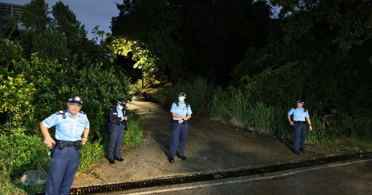 Tai Mo Tong Dog Attack Leaves One Dead; Authorities Investigate Fighting Dog Bloodline