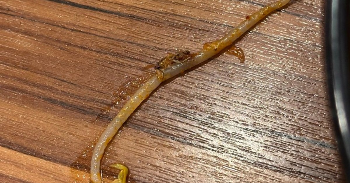 Tamjai Sam Gor Faces Backlash After Dead Cockroach Found in Tai Wai Noodles