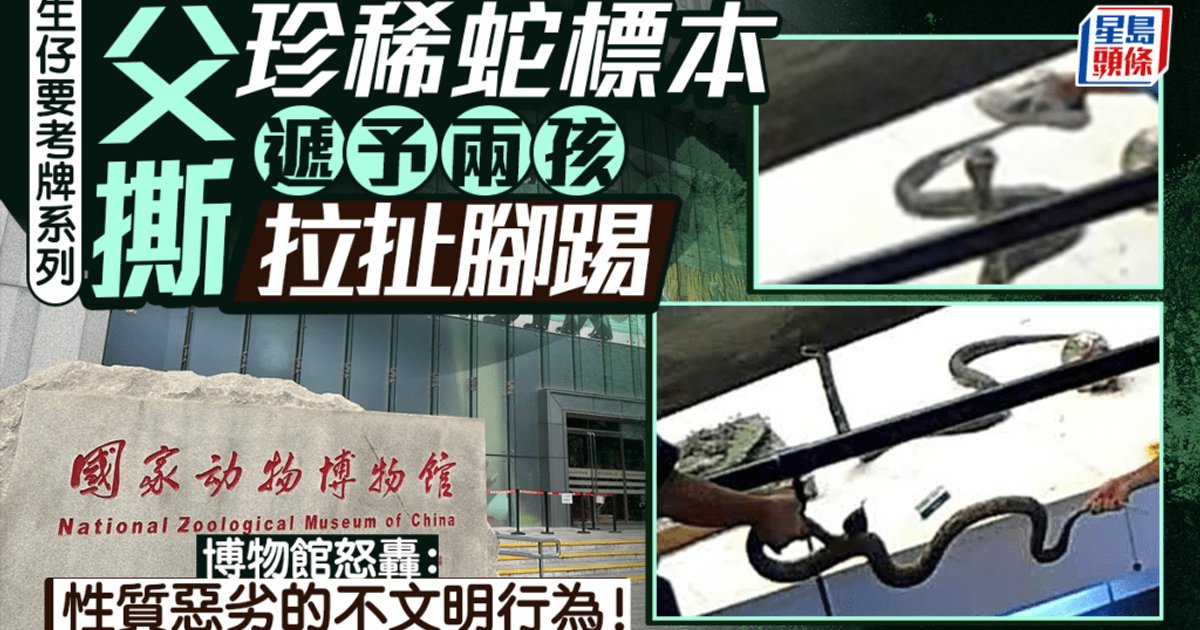 北京博物馆父亲放任孩子损坏稀有蛇标本 馆方强烈谴责保留追诉权