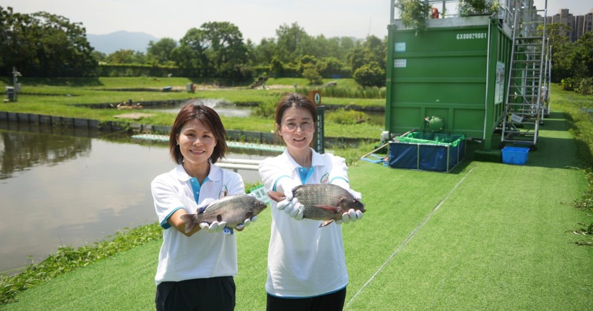 Container Fish Farming in Yuen Long Triples Production in Eight-Month Trial