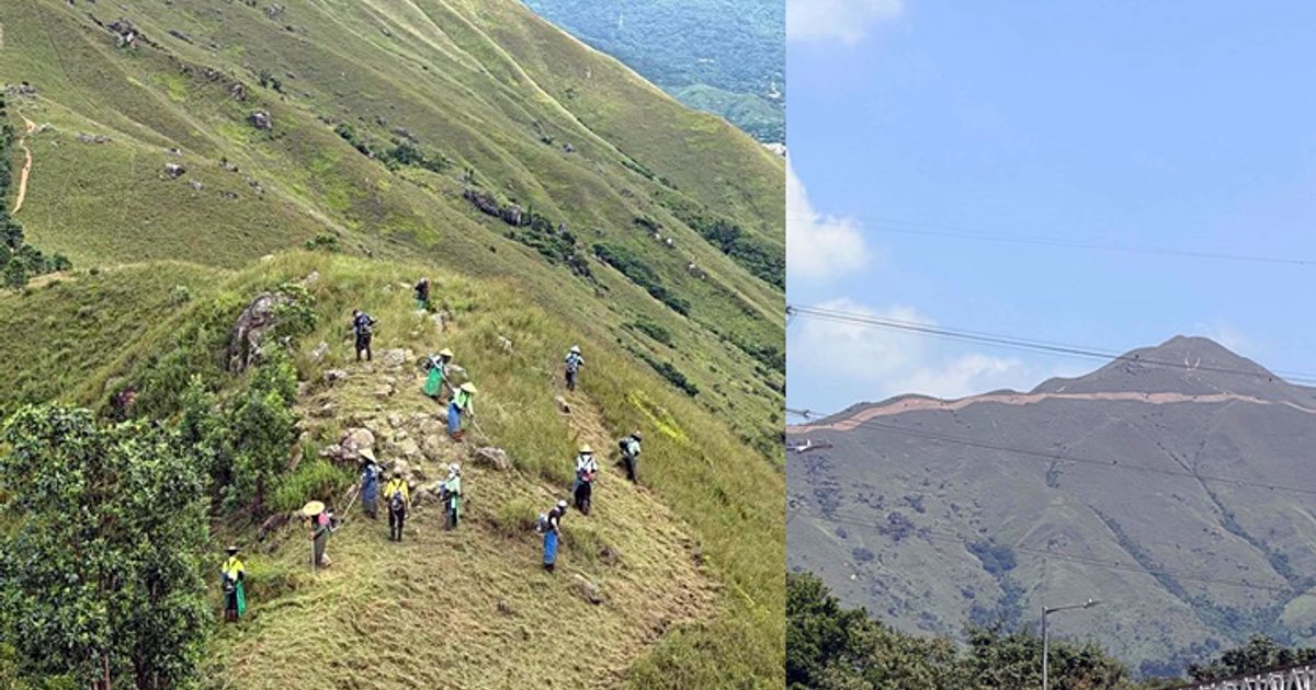 AFCD Cuts Firebreaks on Kai Kung Ling After Surge in Hill Fires