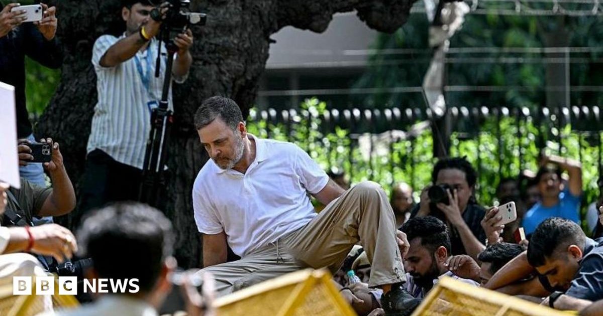 Indian opposition MPs detained in election protest