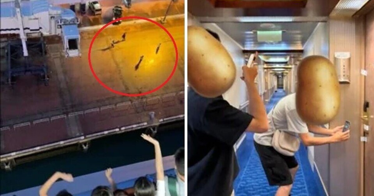 Four Tourists Miss Cruise Ship Departure in Okinawa, Cabin Seals Become Photo Spot