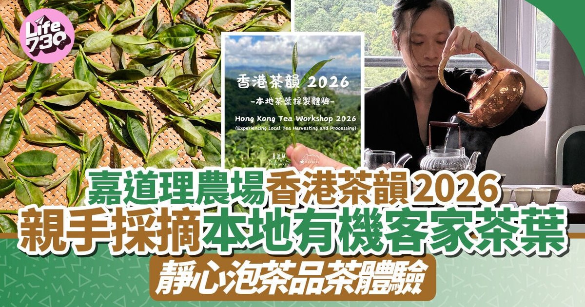 嘉道理农场香港茶韵2026 带您亲手采摘本地有机客家茶