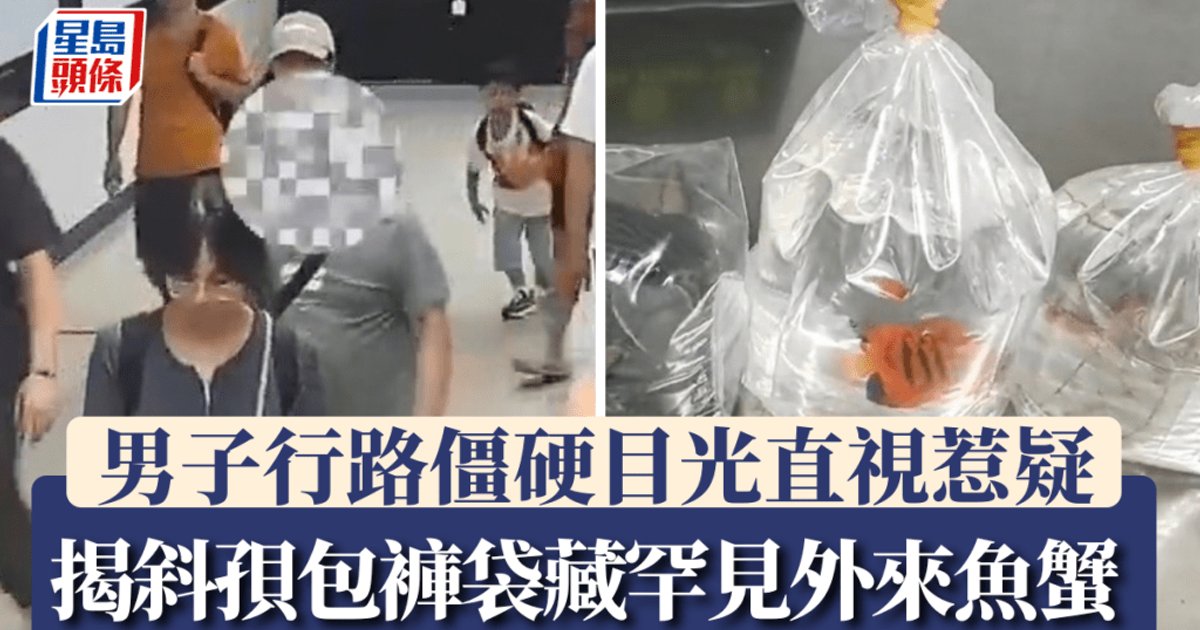 罗湖口岸查获旅客藏匿活鱼活蟹入境