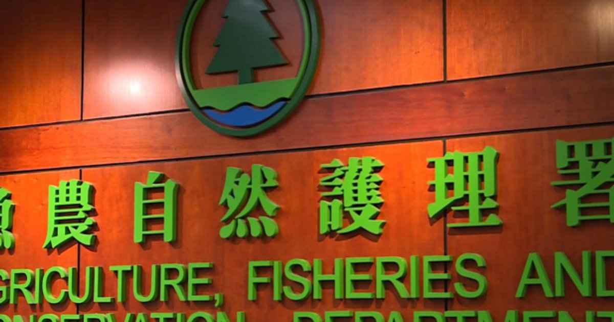 AFCD Defends Visual Assessment Method for Identifying Fighting Dogs Under Existing Law