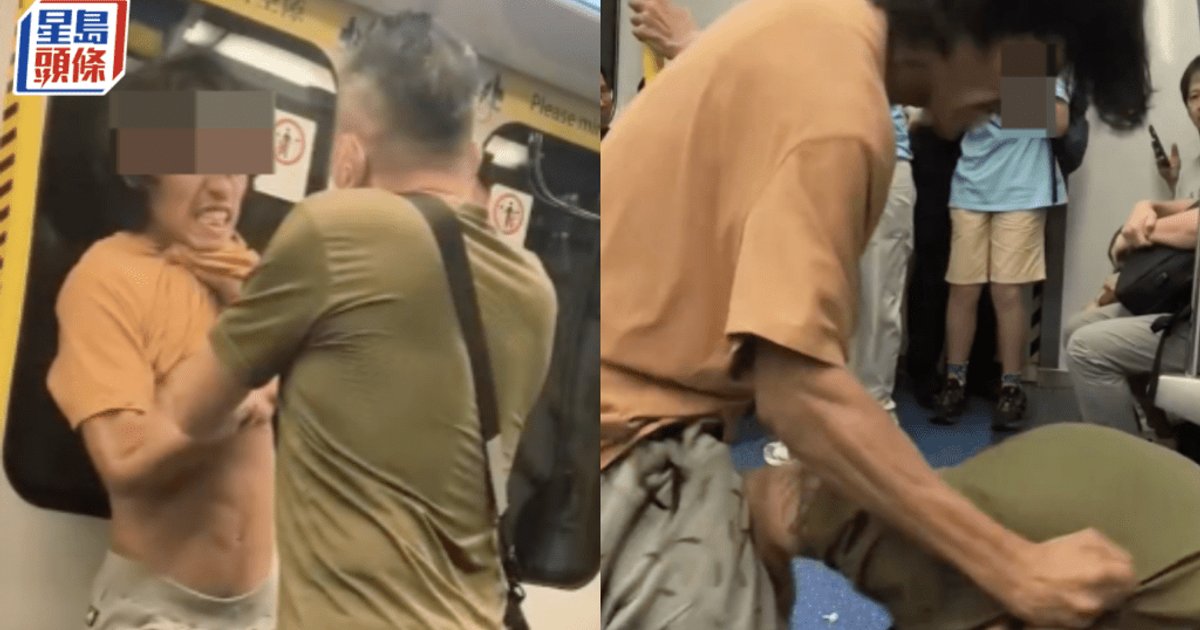 港鐵屯馬綫車廂MMA 兩男爆發激烈肢體衝突 綠衣漢勒頸制服「功夫男」
