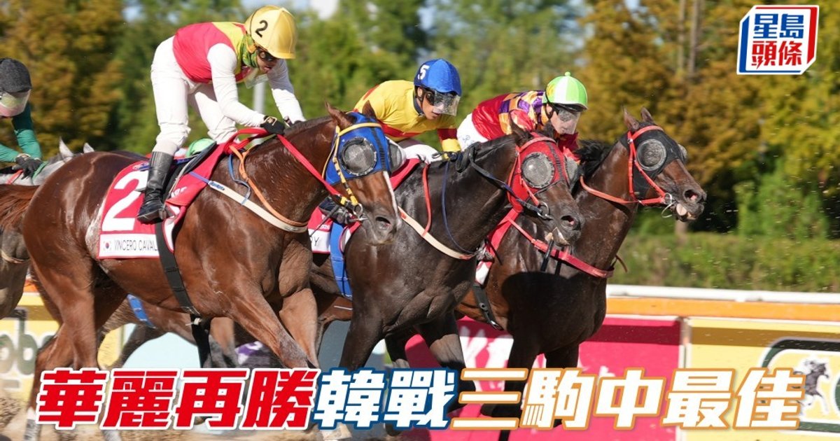日本佳驹扬威韩国短途锦标赛　「华丽再胜」属香港三驹中表现最佳