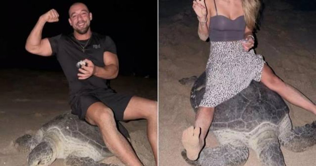 Ukrainian Influencers Detained in Oman for Riding Endangered Egg-Laying Sea Turtle