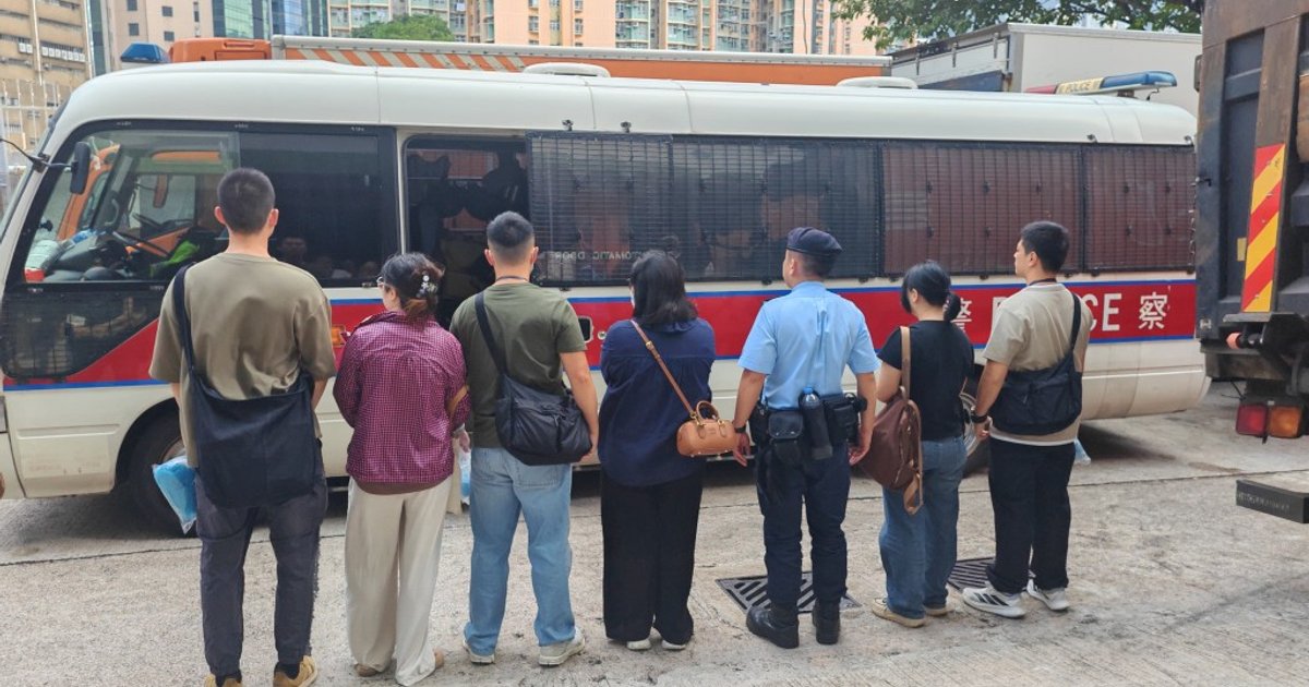 Joint anti-illegal work raid arrests 22 in New Territories South