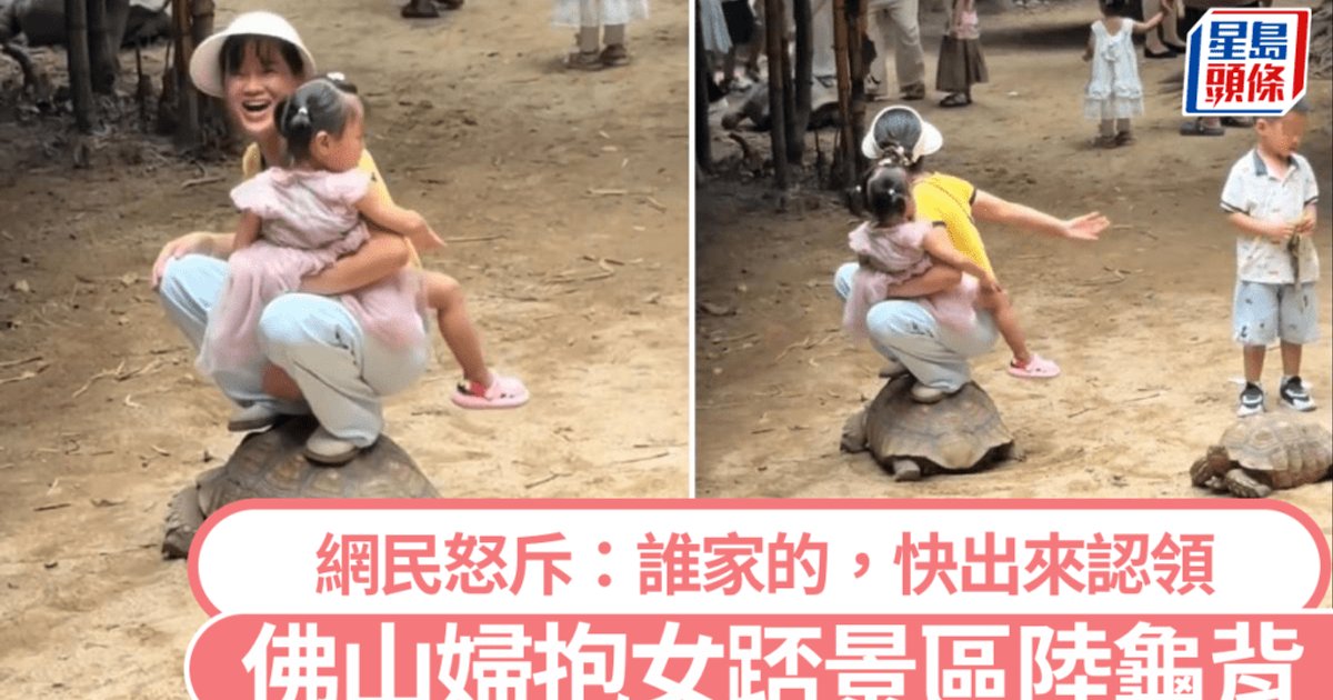 佛山家长抱幼童踩陆龟惹众怒　园区职员竟零制止