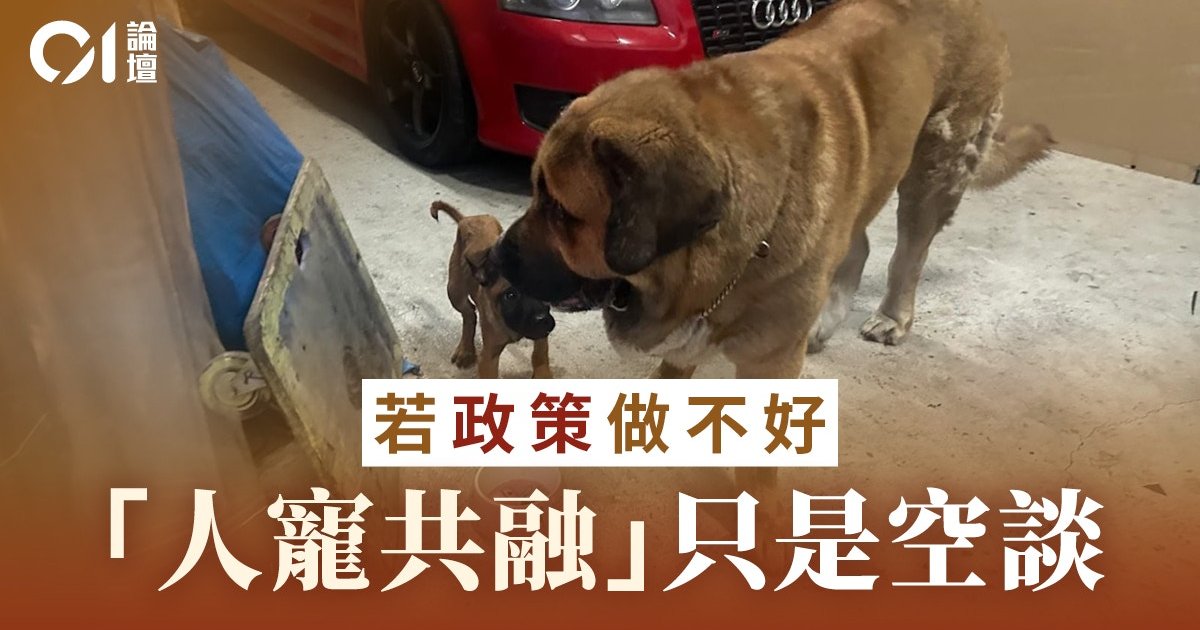 接连狗狗袭击致命悲剧——“人宠共融”愿景失效的缩影