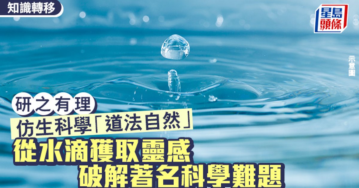 理大仿生科研「道法自然」 從水滴荷葉破解可持續工程難題